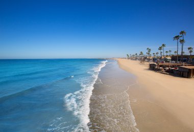 Newport beach california palmiye ağaçları ile
