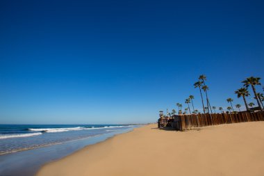 Newport beach california palmiye ağaçları ile