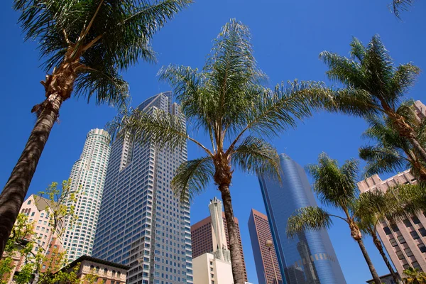 La downtown los angeles pershing square palm čka — Stock fotografie