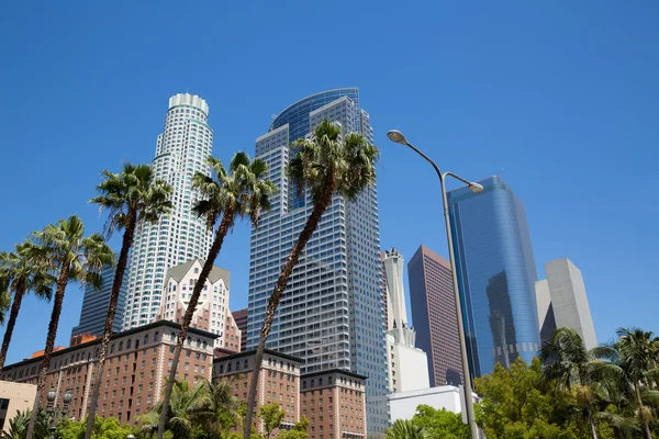 La Downtown Los Angeles Pershing Square palm tress — Stock Fotó