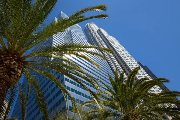 Centro de Los Ángeles skyline Palmeras de California —  Fotos de Stock