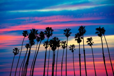 California palm trees sunset with colorful sky clipart
