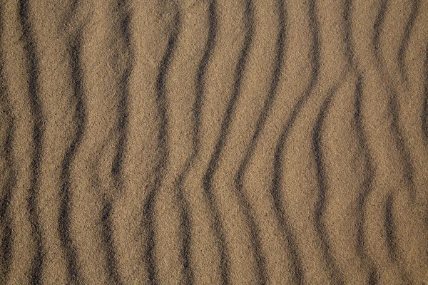 Praia dunas textura de areia da Califórnia — Fotografia de Stock