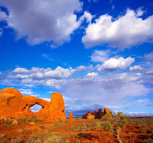Parque Nacional Arches en Moab Utah EE.UU. — Foto de Stock
