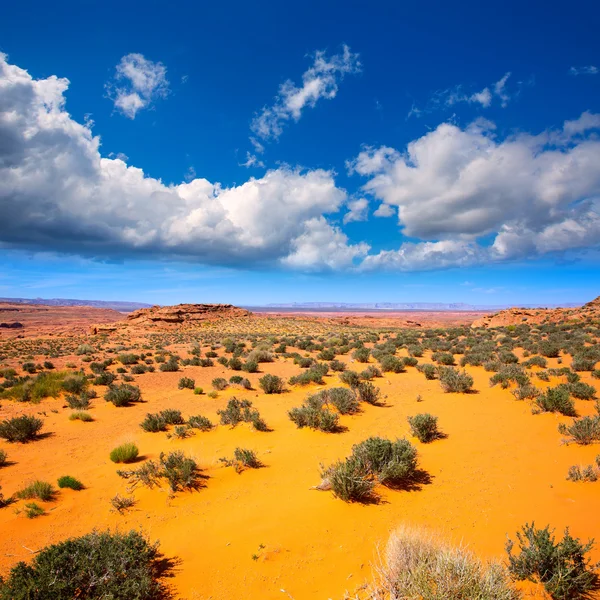 Arizona woestijn in de buurt van colorado rivier usa — Stockfoto