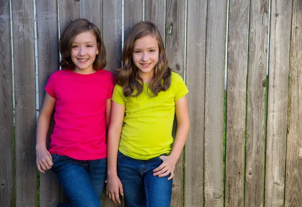 Tvillingsystrar med olika frisyr poserar på trä staket — Stockfoto