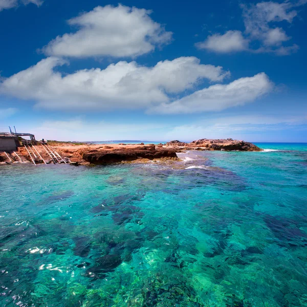 Formentera Es Calo de Sant Agusti mar de tortuga — Foto de Stock