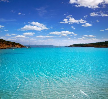Ibiza cala bassa plaj turkuaz Akdeniz ile