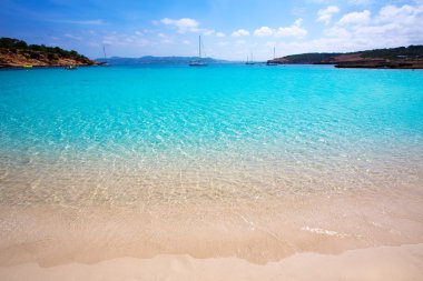 Ibiza cala bassa plaj turkuaz Akdeniz ile
