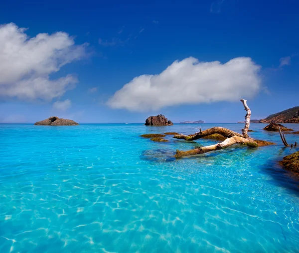 Ibiza aigues blanques aguas blancas strand op santa eulalia — Stockfoto