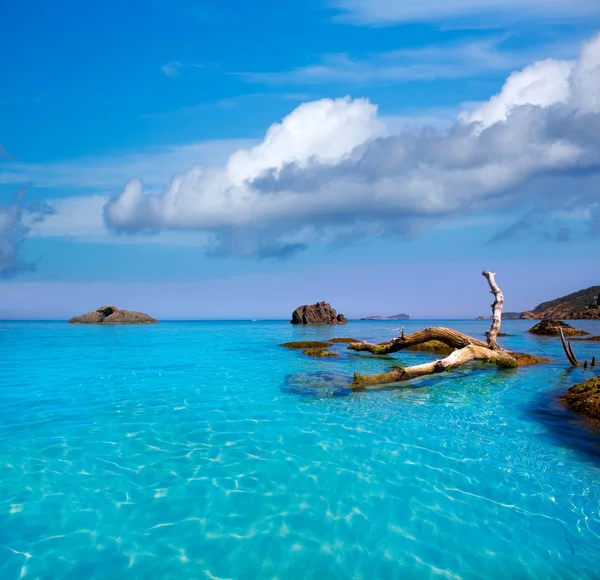 Ibiza aigues blanques aguas blancas plaża w santa eulalia — Zdjęcie stockowe