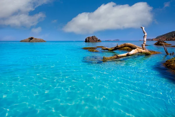 Ibiza aigues blanques aguas blancas plaża w santa eulalia — Zdjęcie stockowe