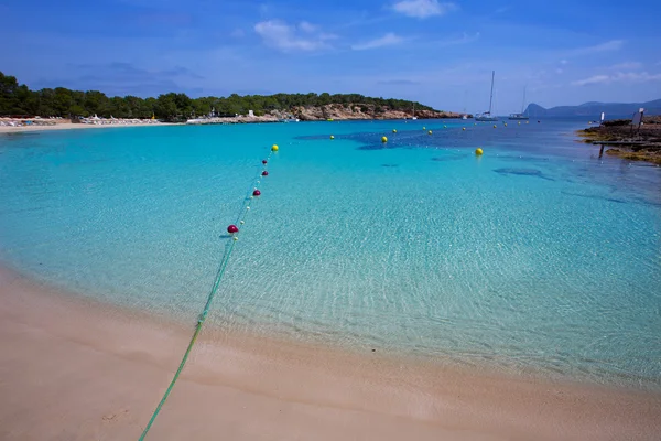 Ibiza Cala Bassa beach with turquoise Mediterranean — Stock Photo, Image