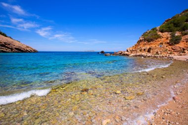 Ibiza cala moli beach ile temiz su balearics içinde