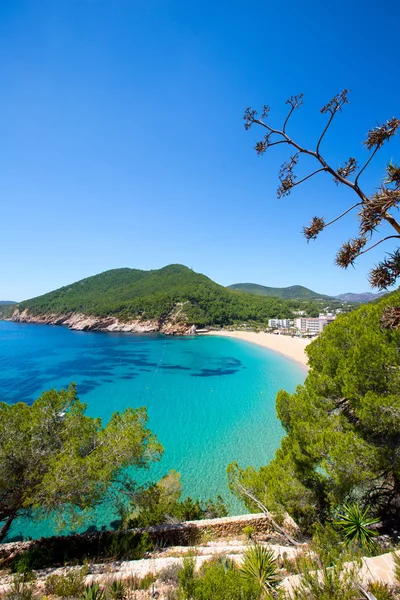 Ibiza caleta de Sant Vicent cala San vicente san Juan — Stockfoto