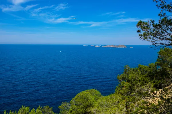 Cala Vedella Vadella Ibiza isla Mar Mediterráneo —  Fotos de Stock