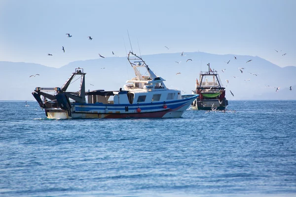 Trwler båtar med måsar i ibiza formentera — Stockfoto