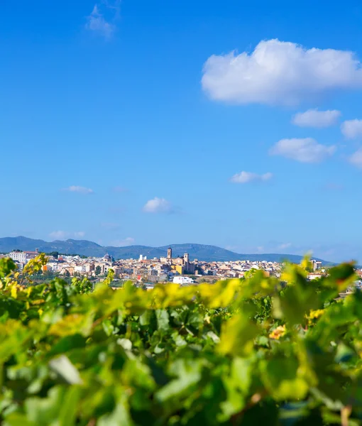 Requena na província de Valência uma região vinícola da Espanha — Fotografia de Stock