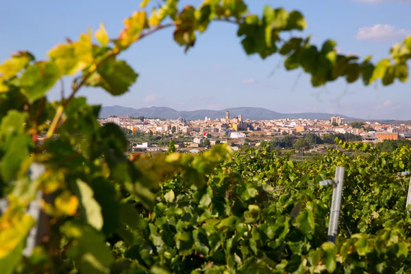 Requena v provincii valencia vinařské oblasti Španělska — Stock fotografie