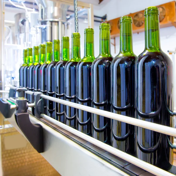 Red wine in bottling machine at winery — Stock Photo, Image