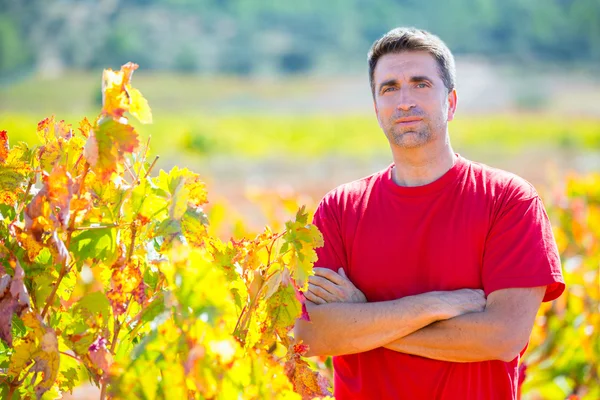 Colheitadeira agricultor enólogo orgulhoso de sua vinha — Fotografia de Stock