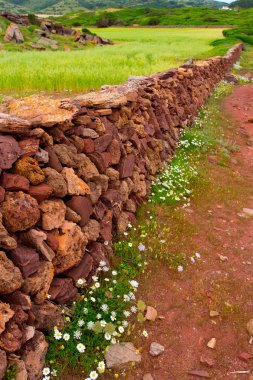 Masonry stonewall in spring with flowers Menorca clipart