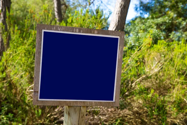 Blue track balnk sign in Mediterranean pine forest — Stock Photo, Image