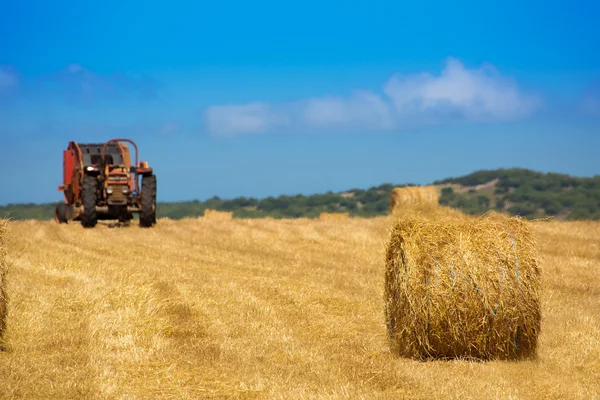 Menorca birleştirmek traktör buğday ile yuvarlak balya — Stok fotoğraf