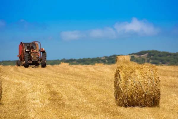 Minorca combinare frumento trattore con balle rotonde — Foto Stock