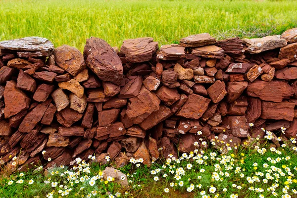 Metselwerk stonewall in het voorjaar met bloemen menorca — Stockfoto