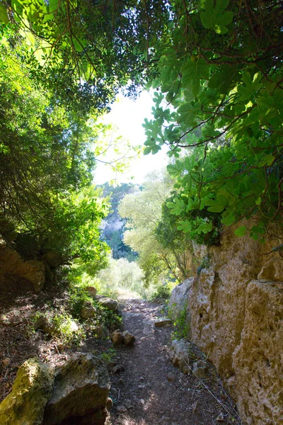 Minorque Cova dels Coloms Pigeons grotte en es Mitjorn — Photo