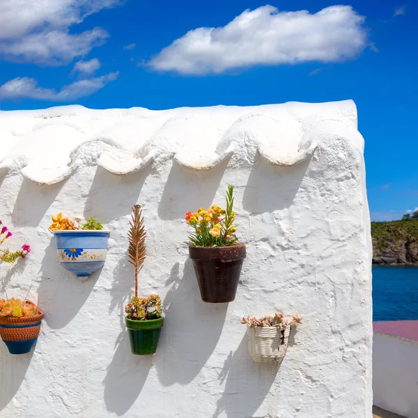 Menorca Es Grau white house flower pots detail in Balearic — Stock Photo, Image