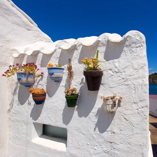 Menorca Es Grau casa branca vasos de flores detalhe em Baleares — Fotografia de Stock