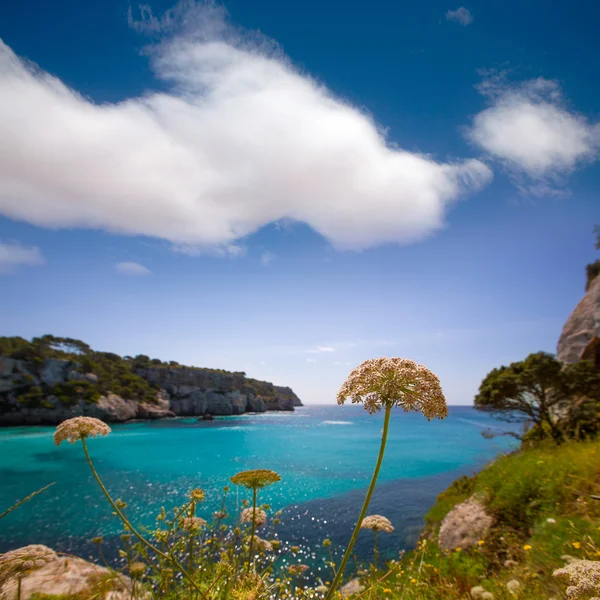 Cala Macarella Minorca turchese Mediterraneo Baleare — Foto Stock