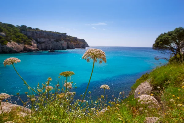Кала Макарелья бирюзовый Менорка Балеарских средиземноморской — стоковое фото