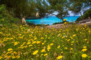 Cala macarella menorca turquoise Balearen mediterrane