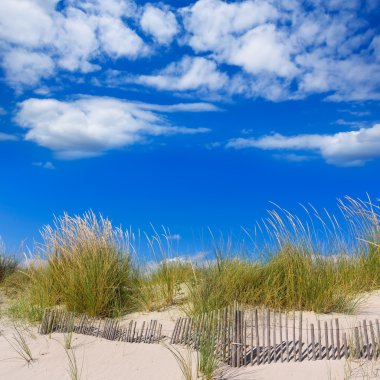 Alaior cala oğlu bou içinde menorca dunes Balear adlı