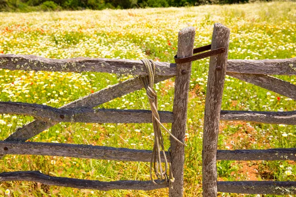 Menorca traditional wooden gate in spring at Balearic — Stock Photo, Image