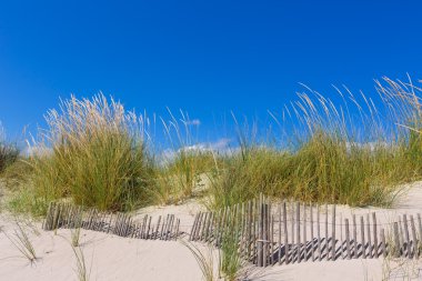 Alaior cala oğlu bou içinde menorca dunes Balear adlı