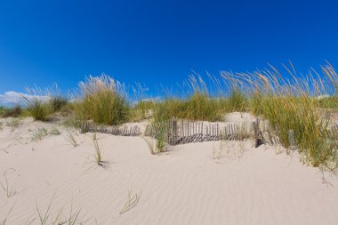 Alaior cala oğlu bou içinde menorca dunes Balear adlı