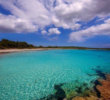 Menorca oğlu saura ciutadella turkuaz Balear Beach'de