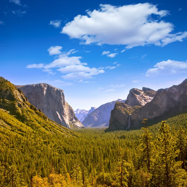 Yosemite el Capitan e Half Dome in California — Foto Stock
