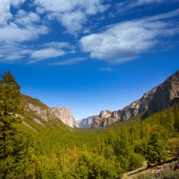 Yosemite el Capitan and Half Dome in California — Stock Photo, Image