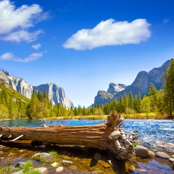 Yosemite Merced River el Capitan and Half Dome — Stock Photo, Image