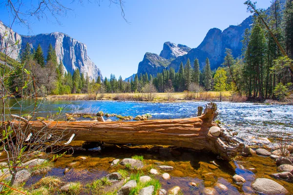 Yosemite Merced River el Capitan and Half Dome — Stock Photo, Image