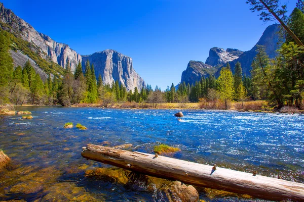 Yosemite merced river el capitan och half dome — Stockfoto