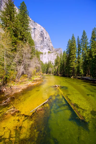 Yosemite Merced River and el Capitan in California — Stock Photo, Image