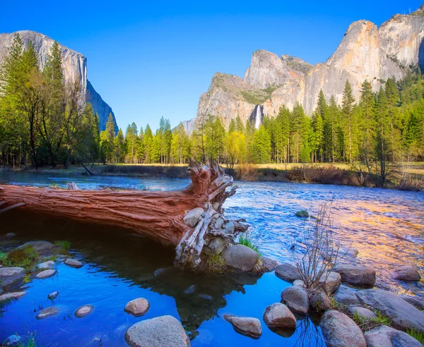 Yosemite Merced River el Capitan e Half Dome — Fotografia de Stock