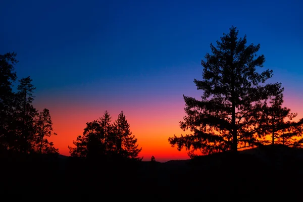 Zachód słońca w yosemite national park z sylwetki drzewa — Zdjęcie stockowe