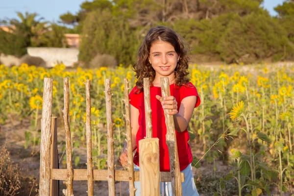 Ayçiçekleri alanı çit kapısı holding ile gülümseyen çiftçi kız — Stok fotoğraf